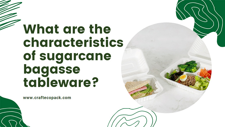 Quelles sont les caractéristiques de la vaisselle en bagasse de canne à sucre ?