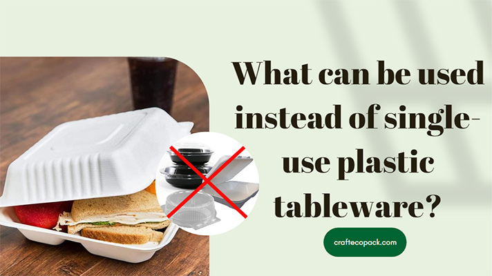 Que peut-on utiliser à la place de la vaisselle en plastique à usage unique ?